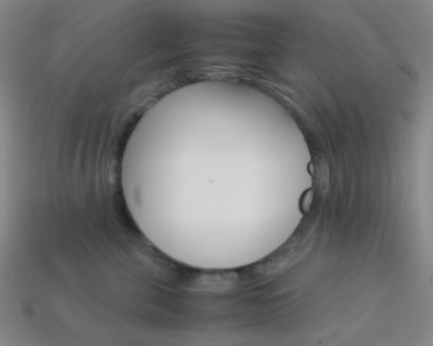 X0000114190571200910091031