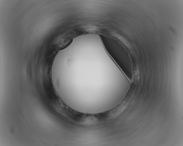 X0000114190572200910091031