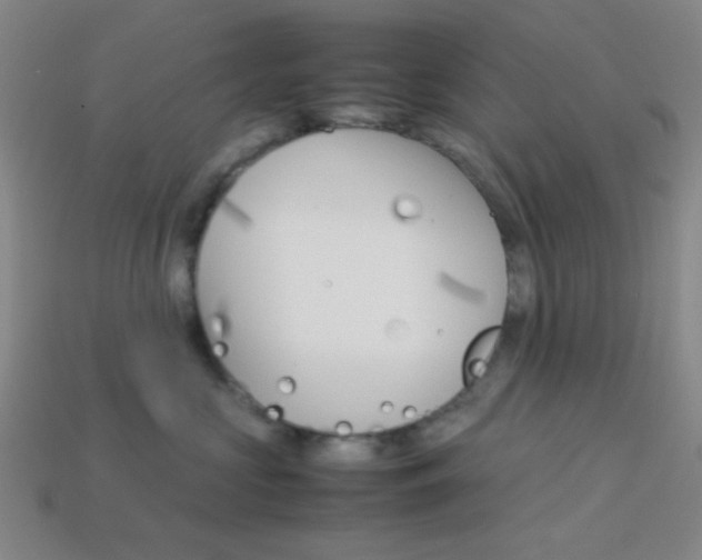 X0000114190573200910091031