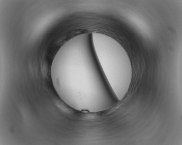 X0000114190574200910091031
