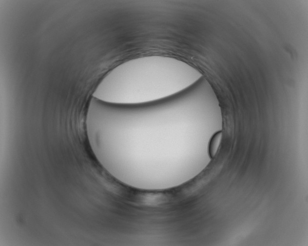 X0000114190575200910091031