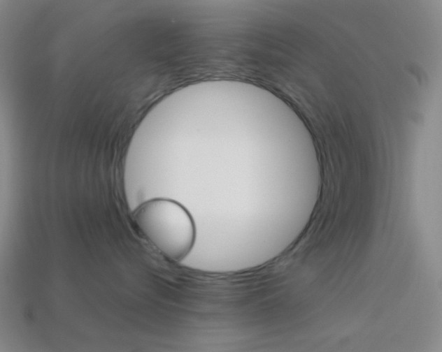 X0000114190576200910091031