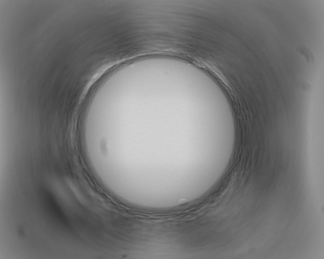 X0000114190579200910091030