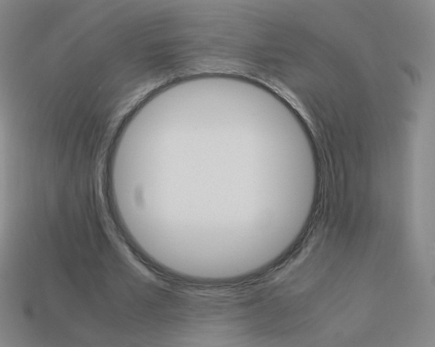 X0000114190581200910091030