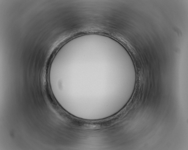 X0000114190582200910091030