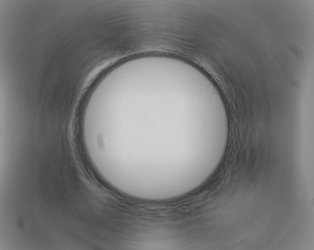 X0000114190583200910091030