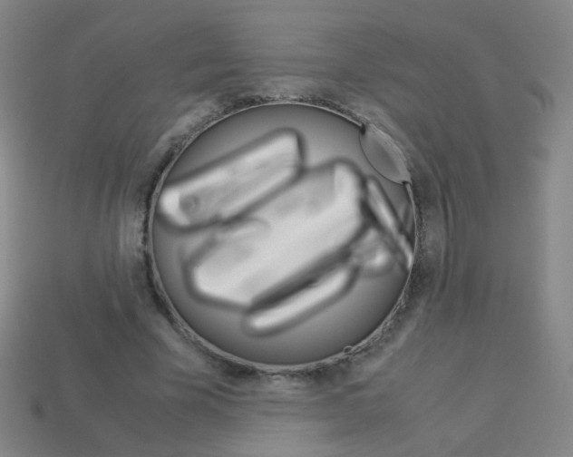 X0000114190585200910091030