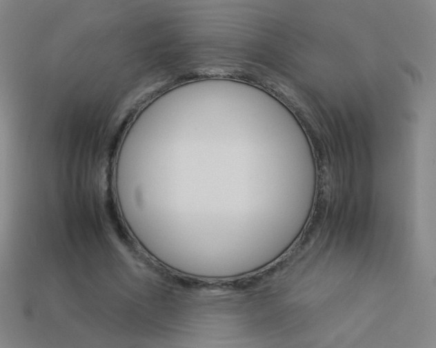 X0000114190586200910091030