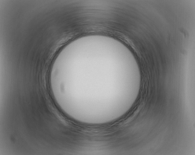 X0000114190589200910091030