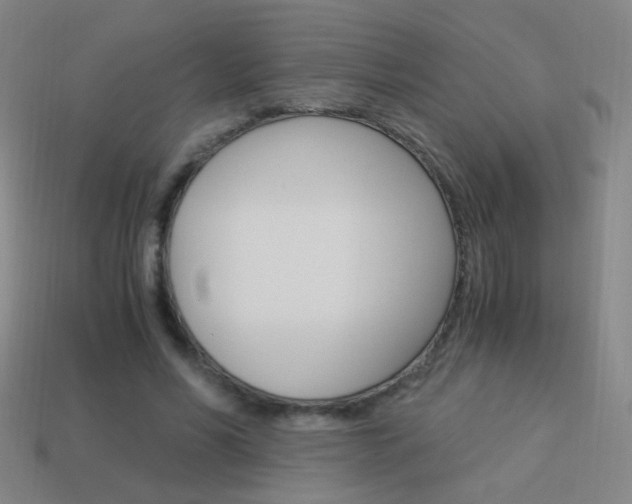 X0000114190590200910091030