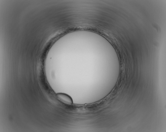 X0000114190591200910091030