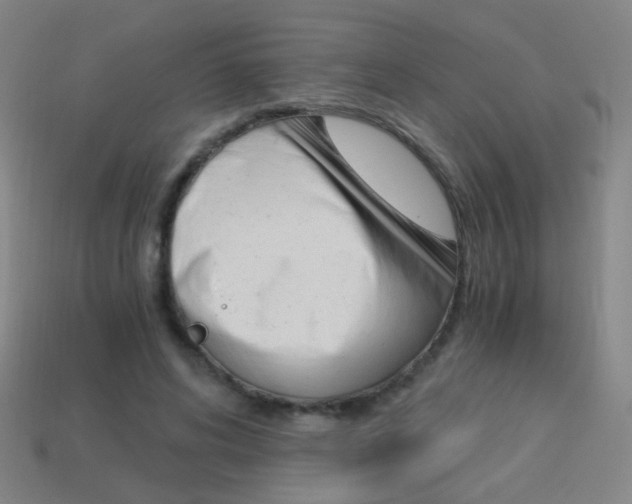 X0000114190592200910091030