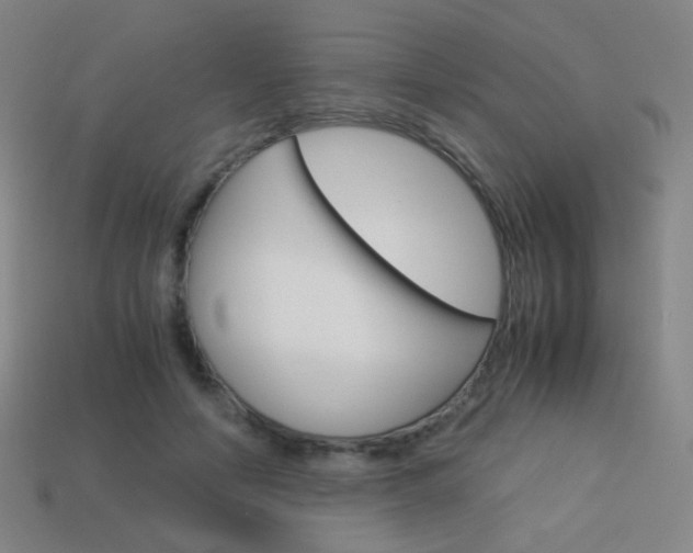 X0000114190594200910091030