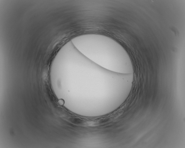 X0000114190595200910091030