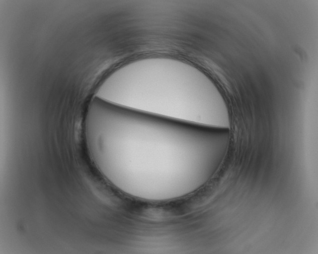 X0000114190596200910091030