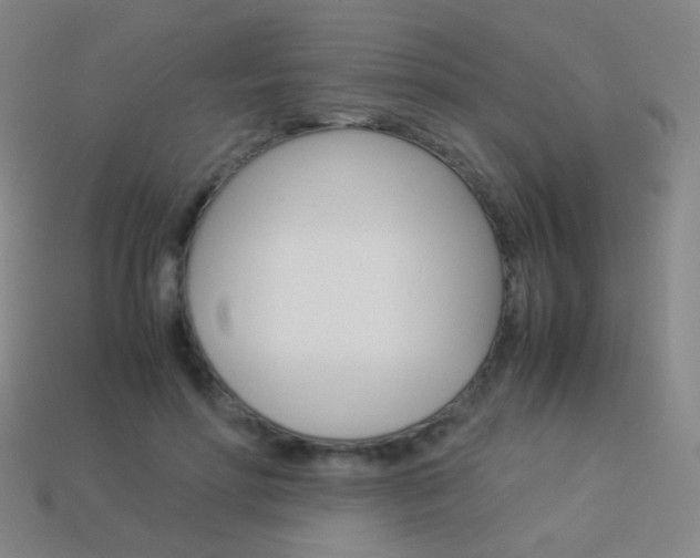 X0000114190598200910091030