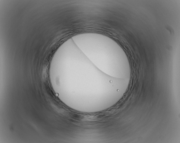 X0000114190599200910091030