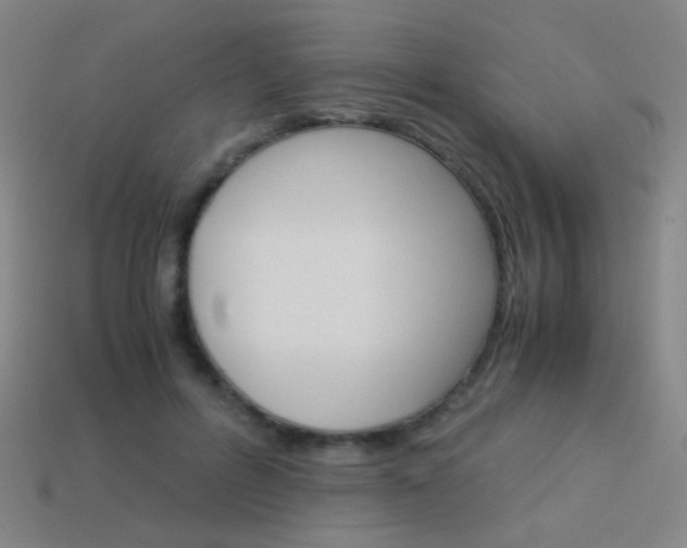 X0000114190600200910091030
