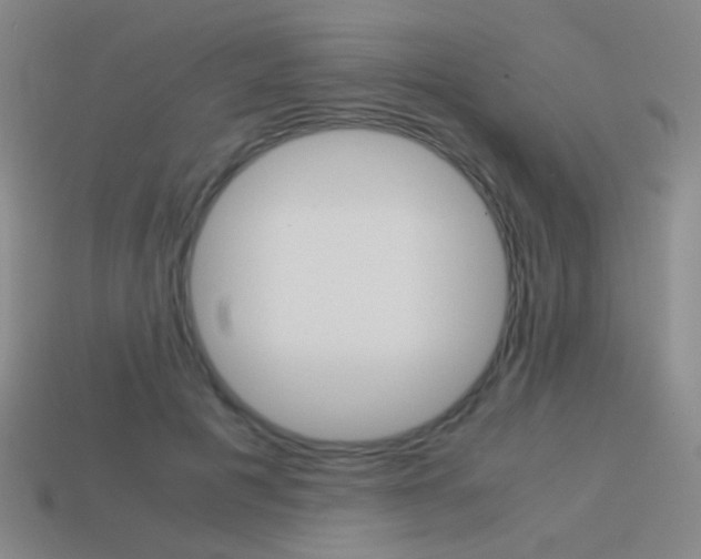X0000114190601200910091030