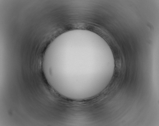 X0000114190602200910091030