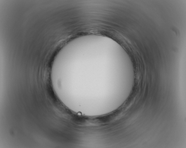 X0000114190603200910091030