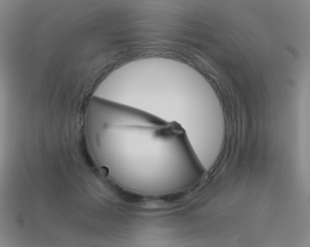 X0000114190605200910091030