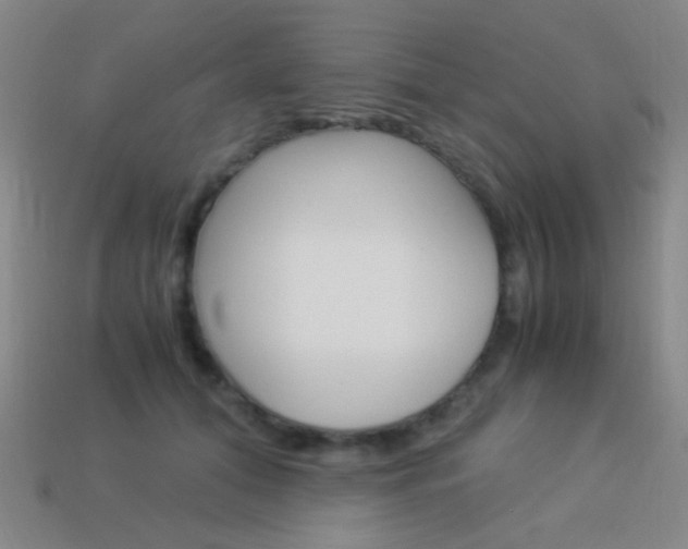X0000114190608200910091030