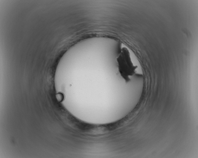 X0000114190609200910091030