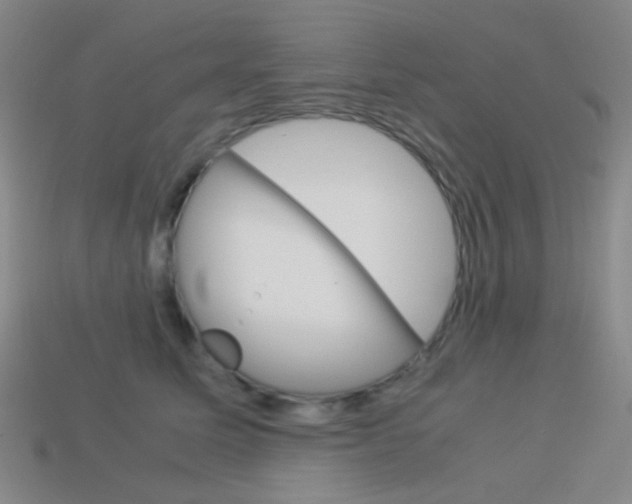 X0000114190611200910091029