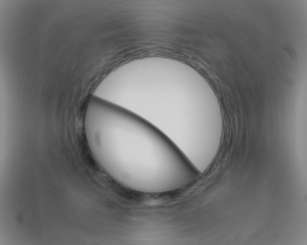 X0000114190613200910091029