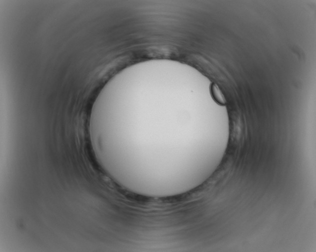 X0000114190616200910091029