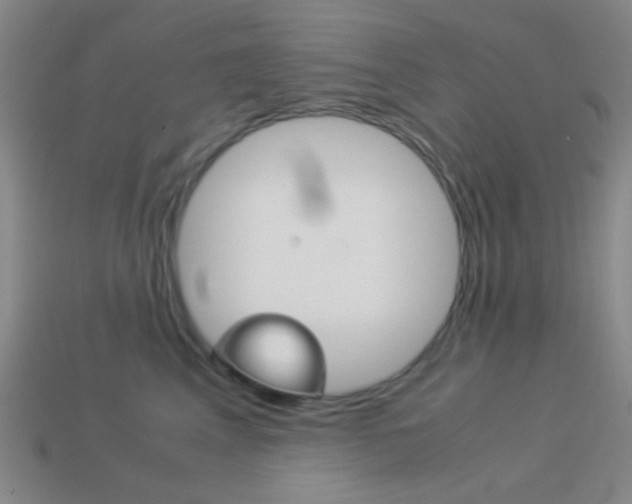 X0000114190617200910091029