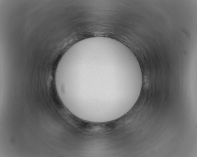 X0000114190618200910091029