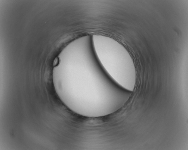X0000114190619200910091029