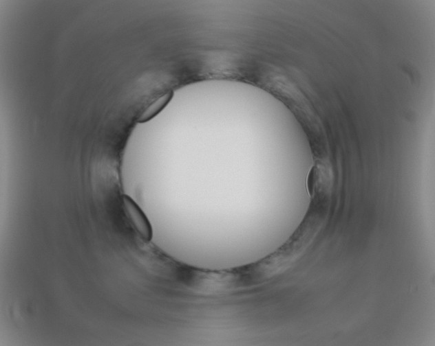 X0000114190621200910091029