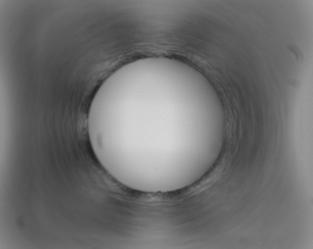X0000114190624200910091029