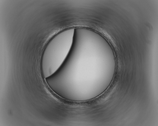 X0000114190625200910091028