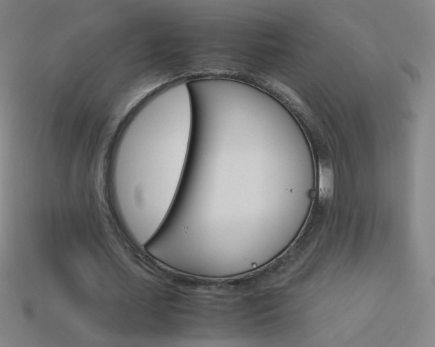 X0000114190627200910091029