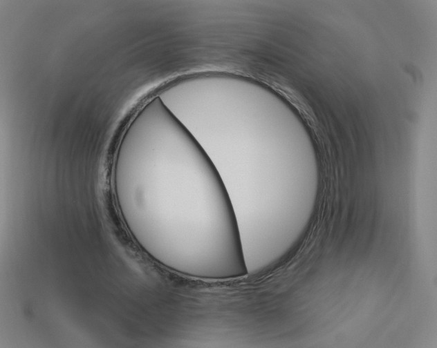 X0000114190628200910091029