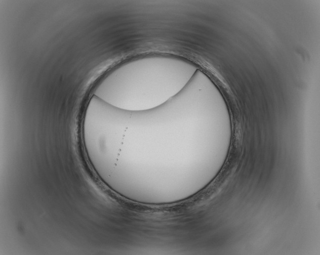 X0000114190629200910091029
