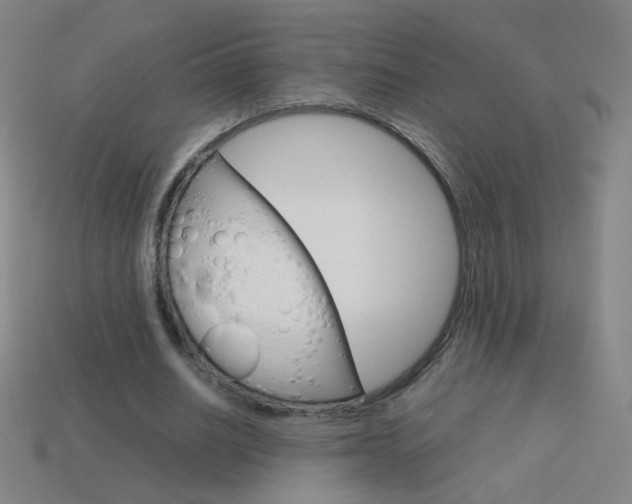 X0000114190630200910091029