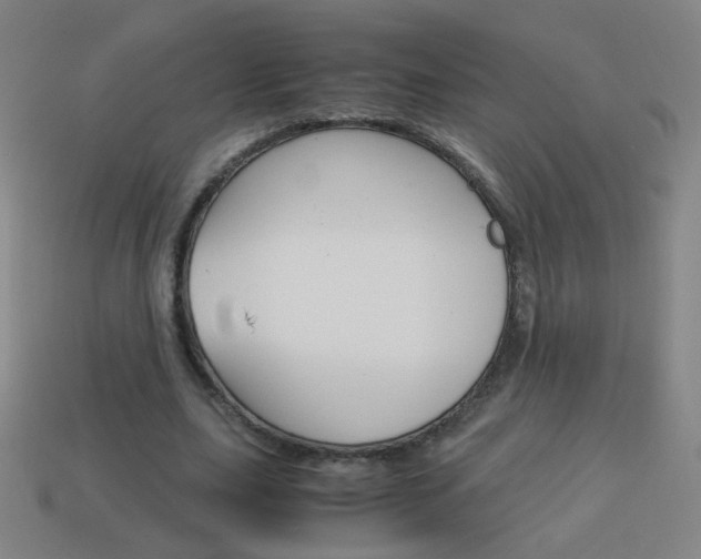 X0000114190631200910091029