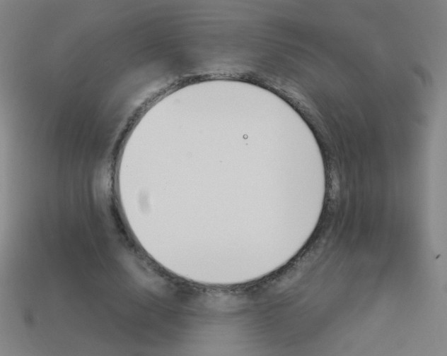X0000114190632200910091029