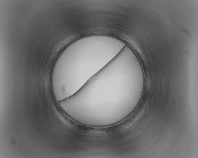 X0000114190633200910091029