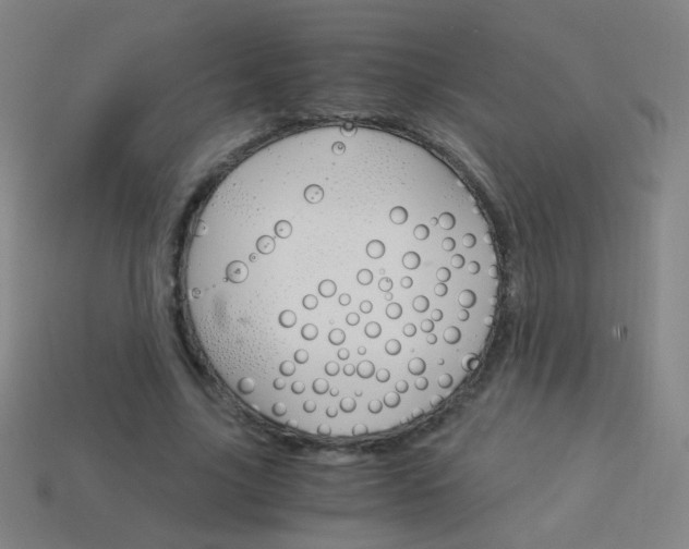 X0000114190635200910091029