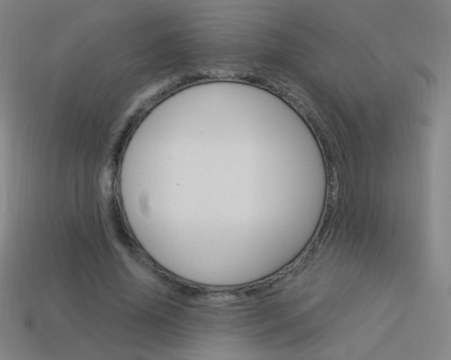 X0000114190636200910091029