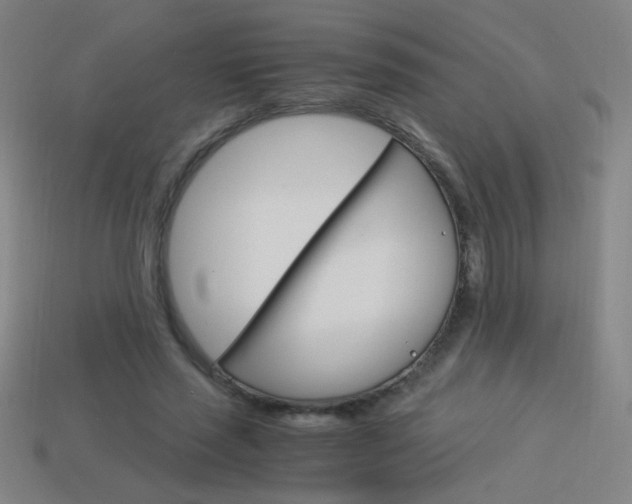 X0000114190637200910091029