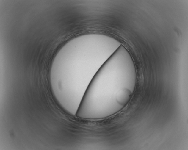 X0000114190641200910091029