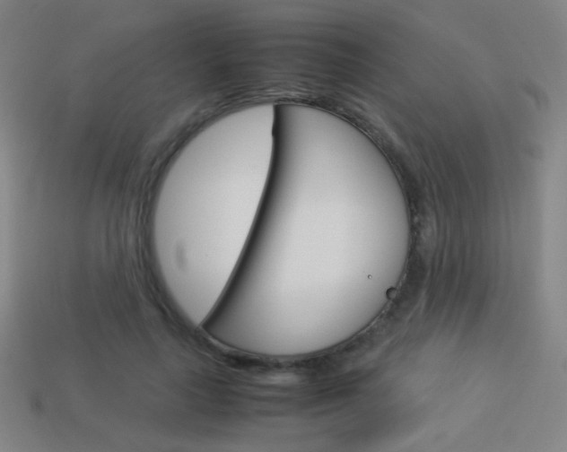 X0000114190643200910091029