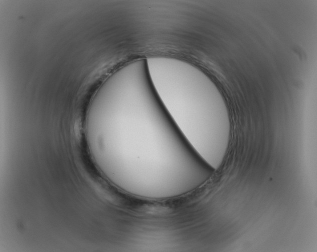X0000114190644200910091029